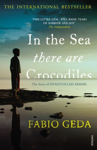 In the Sea There Are Crocodiles by Fabio Geda Book Cover